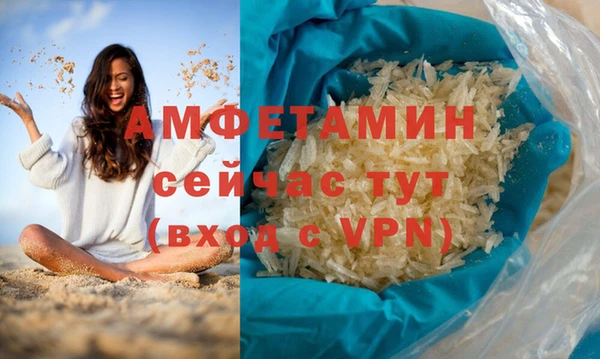 индика Алексин