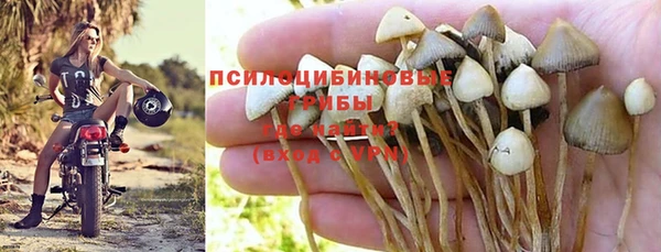 мяу мяу мука Алексеевка