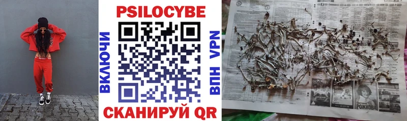 Галлюциногенные грибы GOLDEN TEACHER  Курск 