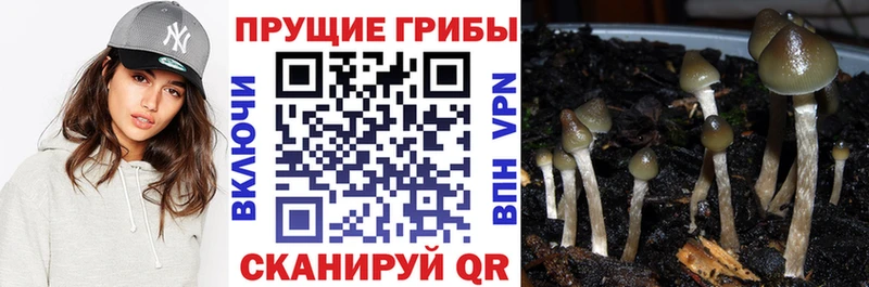 Псилоцибиновые грибы ЛСД Курск